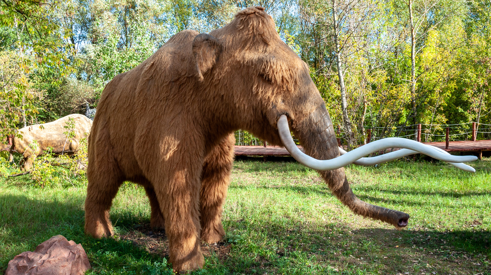 How Scientists Might Bring Back The Wooly Mammoth