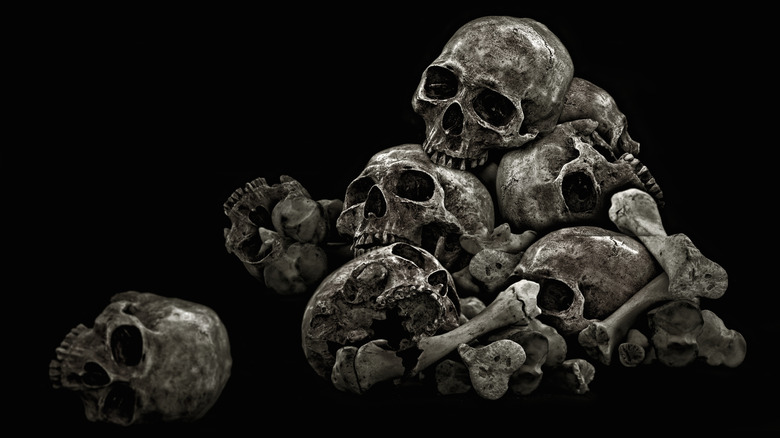 pile of human skulls