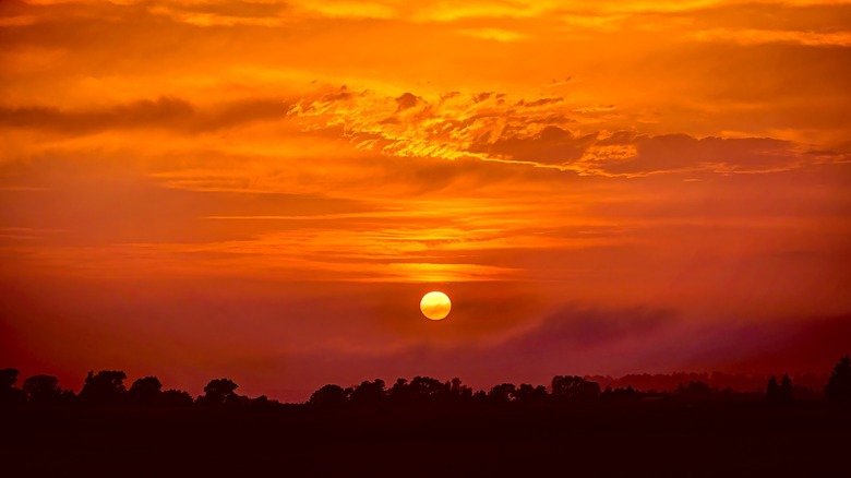 Beautiful sunset over treetops