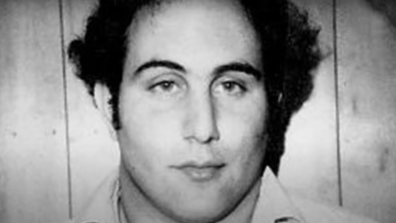 David Berkowitz