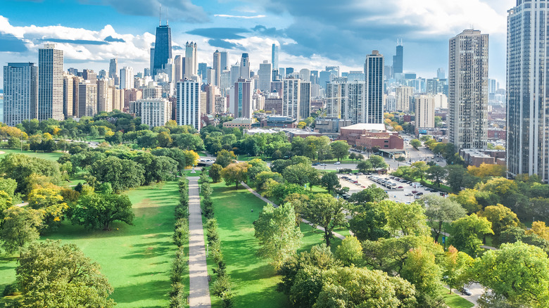 the chicago skyline
