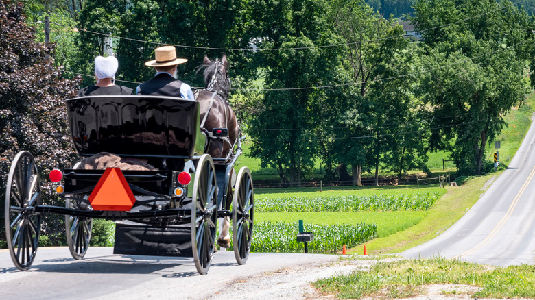 Amish in buggy
