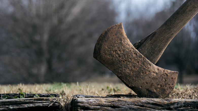 double-sided ax in log