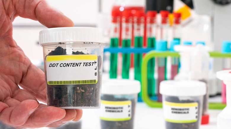 DDT being tested in laboratory