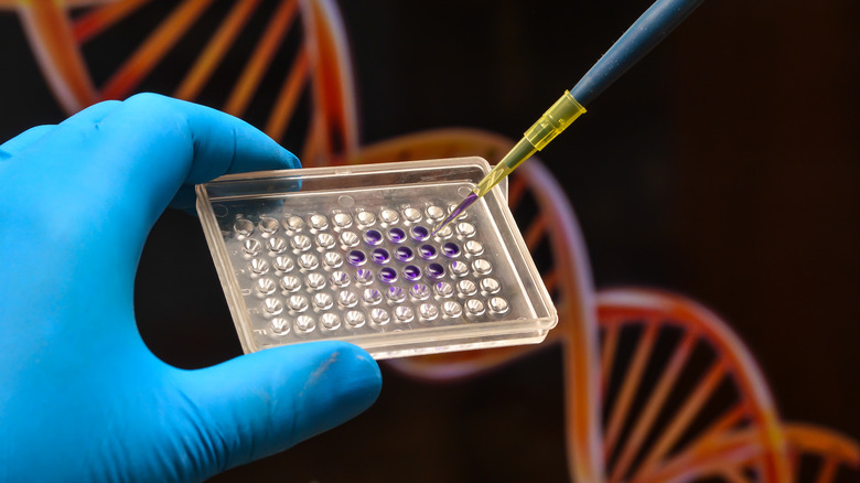 DNA testing