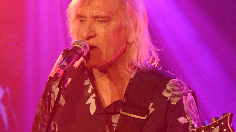 Joe Walsh performing