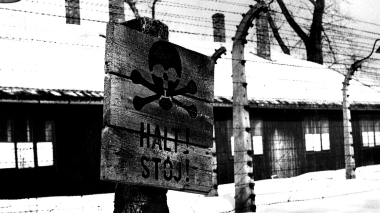 auschwitz in the snow winter
