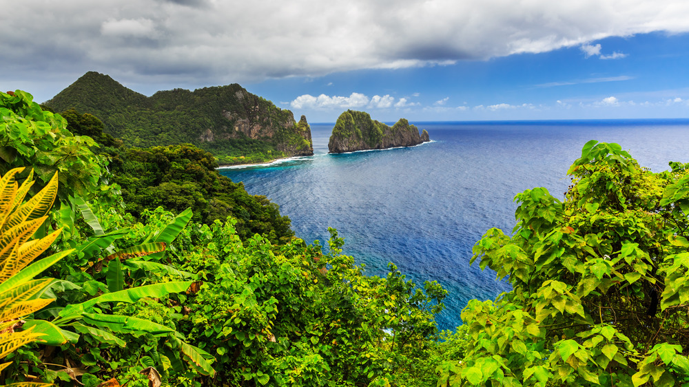 American Samoa foliage