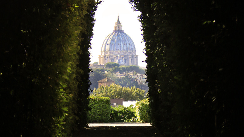 St. Peter's seen through a hedge