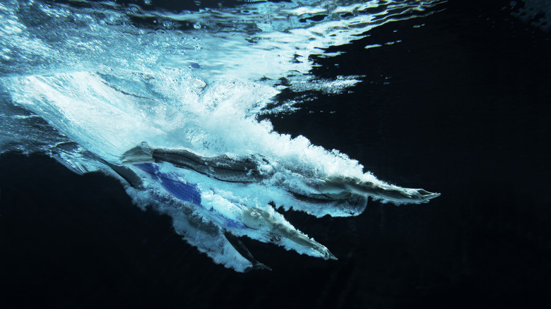 swimmers underwater