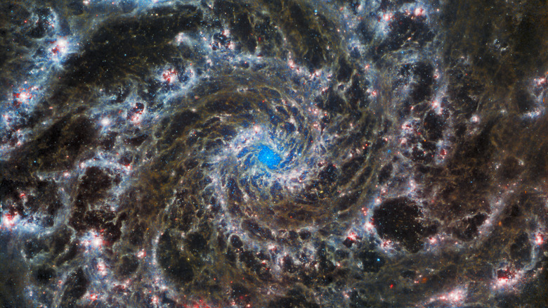 Webb image of Phantom Galaxy