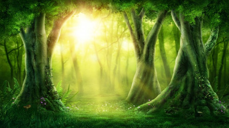 trees