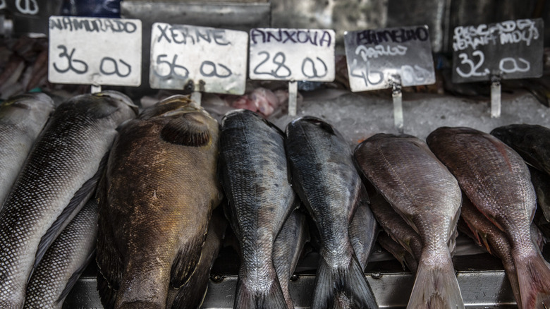 Fish at a market