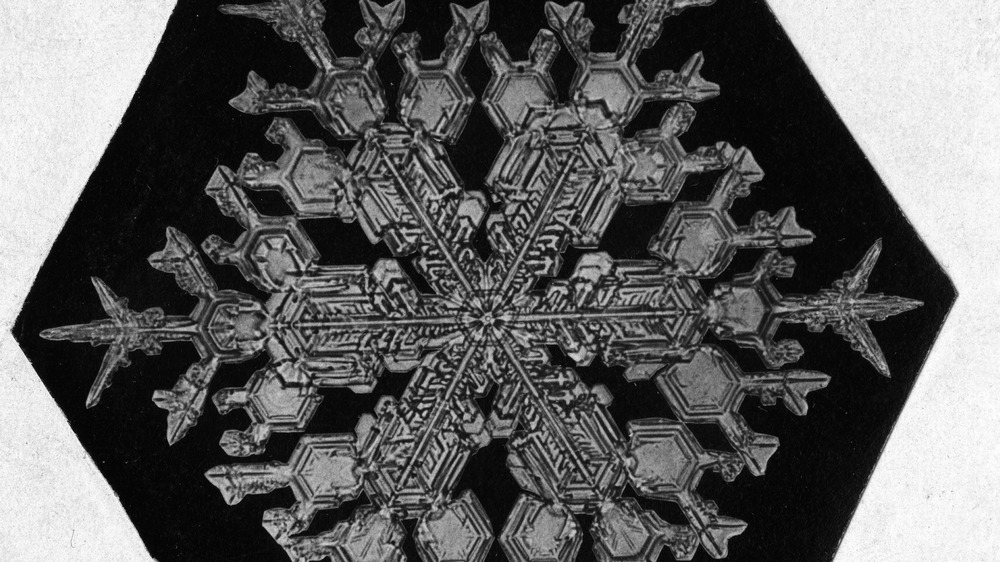 snowflakes, Wilson Bentley, ice crystals