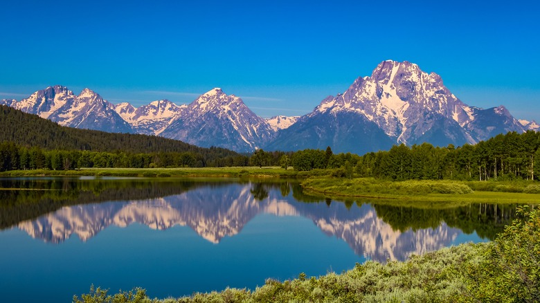 view of yellowstone park