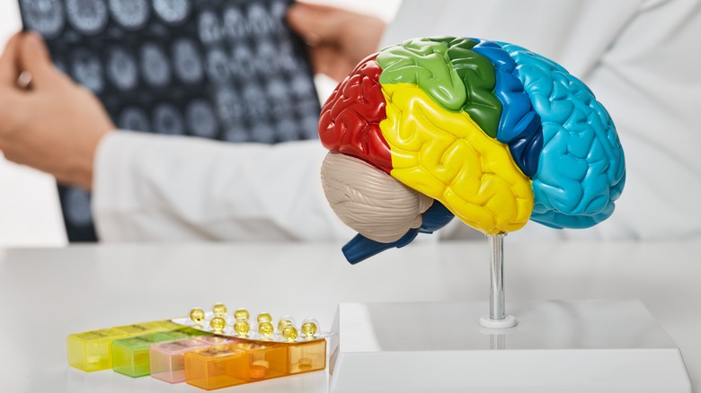 model of human brain