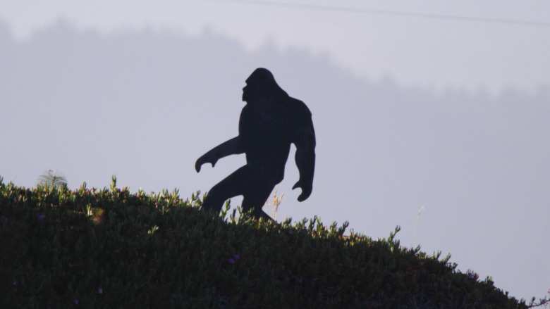 Silhouette of sasquatch