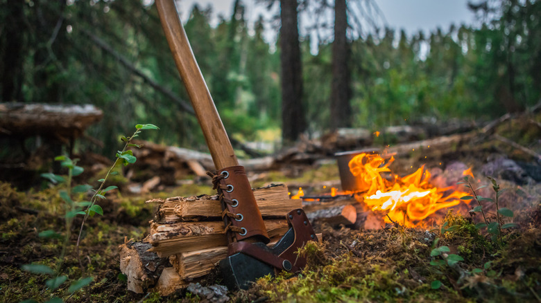 Campfire scene