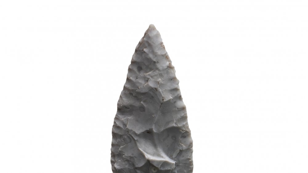 A stone arrowhead attests to humanity's early innovations