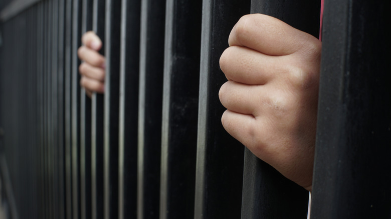 Prison bars