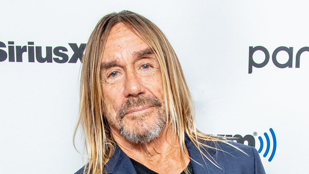 Moderat Gemme Sæbe Iggy Pop Is Worth A Lot More Than You Think