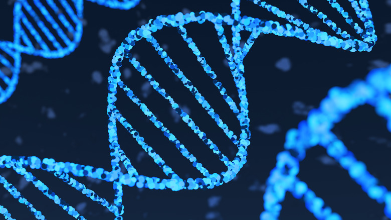 Strands of DNA