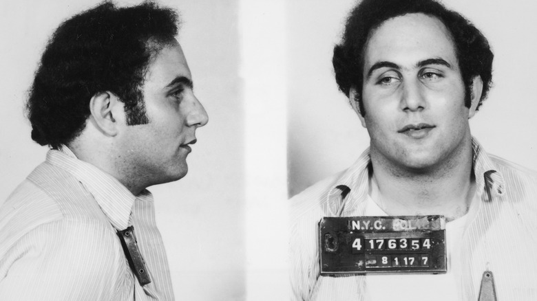 David Berkowitz mug shot