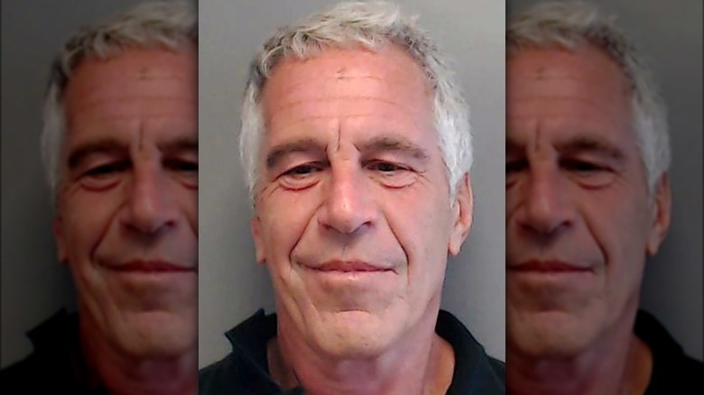 Jeffrey Epstein mugshot, 2013