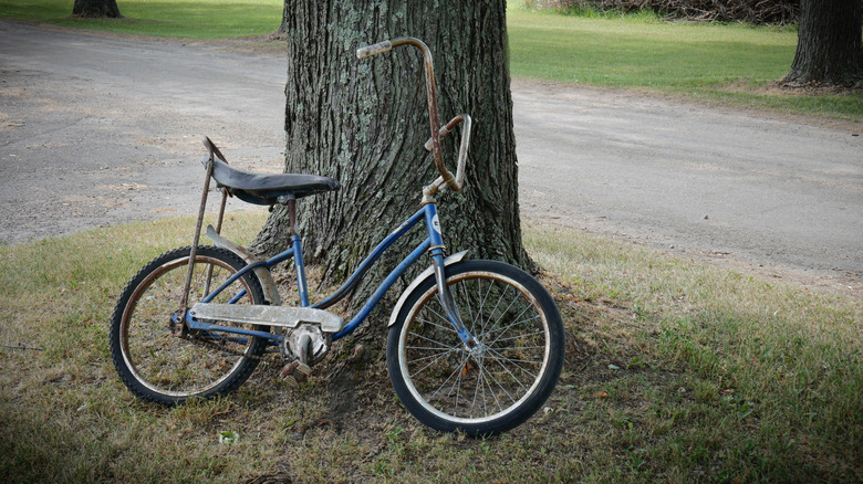 Bike leaning on a tree