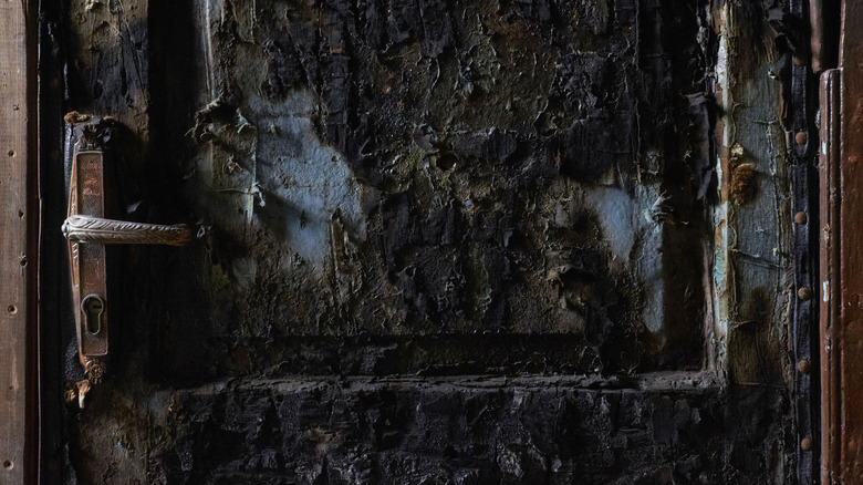 Burned Door
