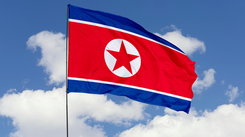North Korean flag in the wind