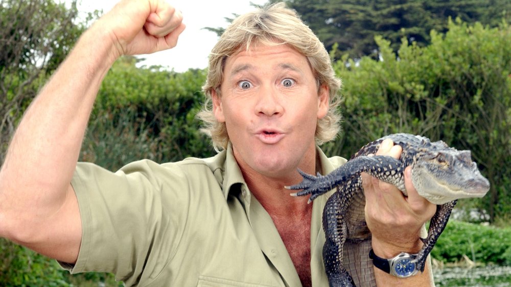 Steve Irwin