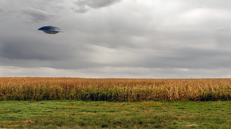 Flying saucer over a corn field