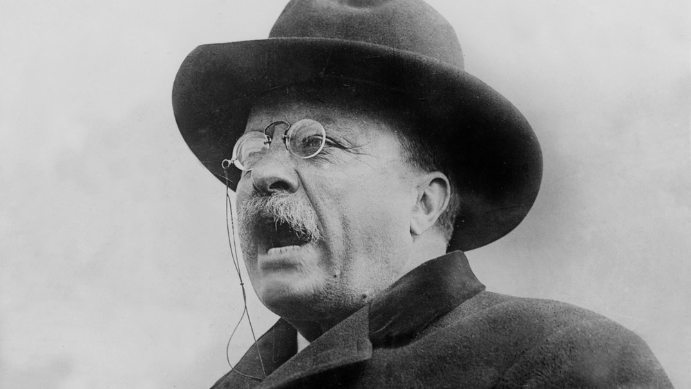 theodore roosevelt