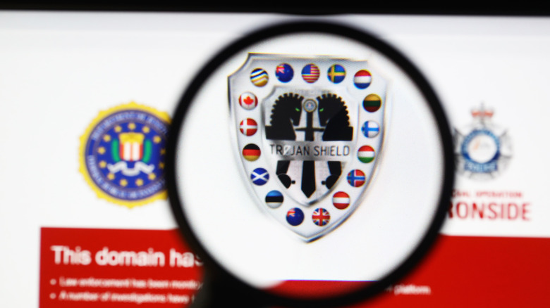 Operation Trojan Shield and flags of countries that participated