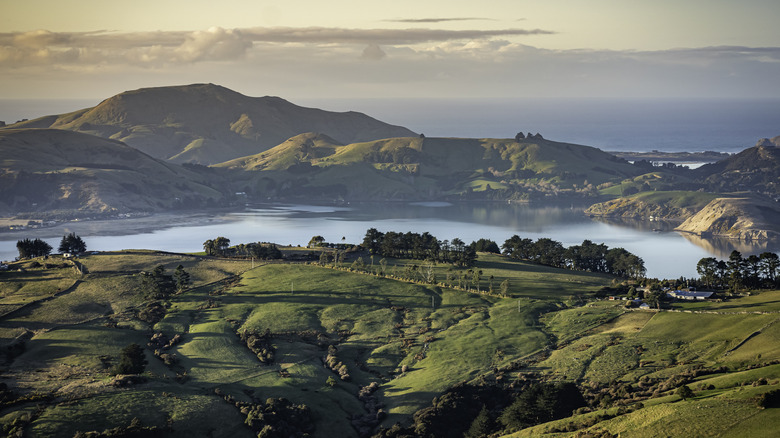 Dunedin, Zealand rolling hills 