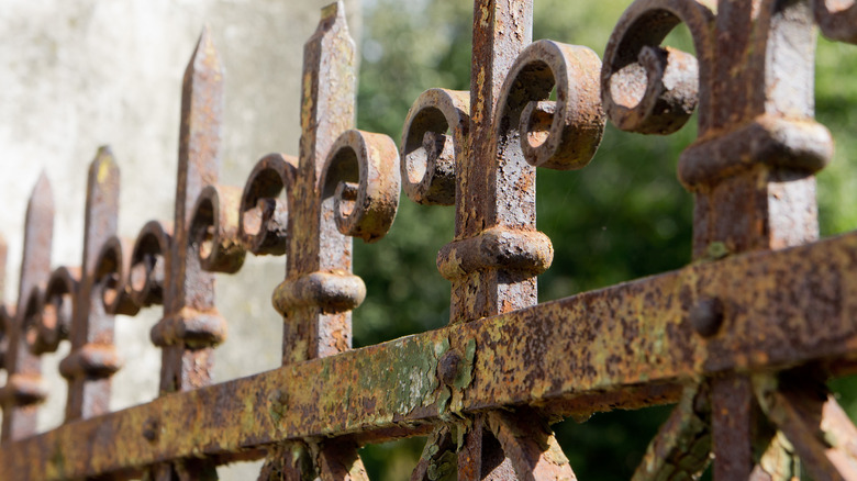 Old iron fence