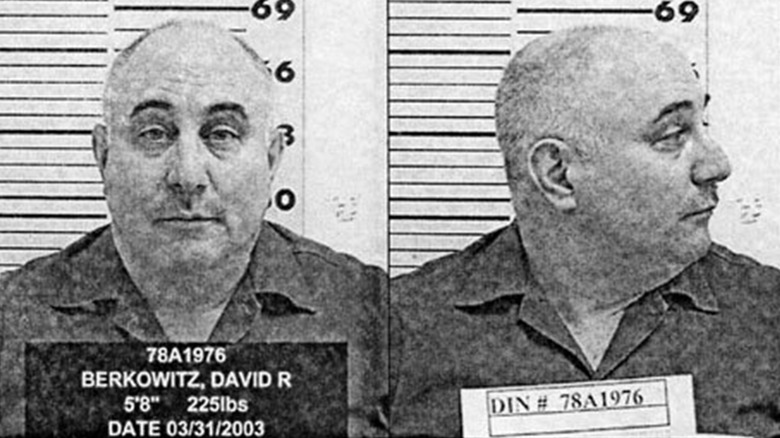 Mug shot of David Berkowitz taken in 2003