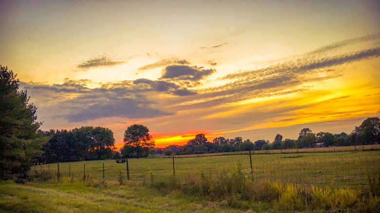 Indiana fields at sunset