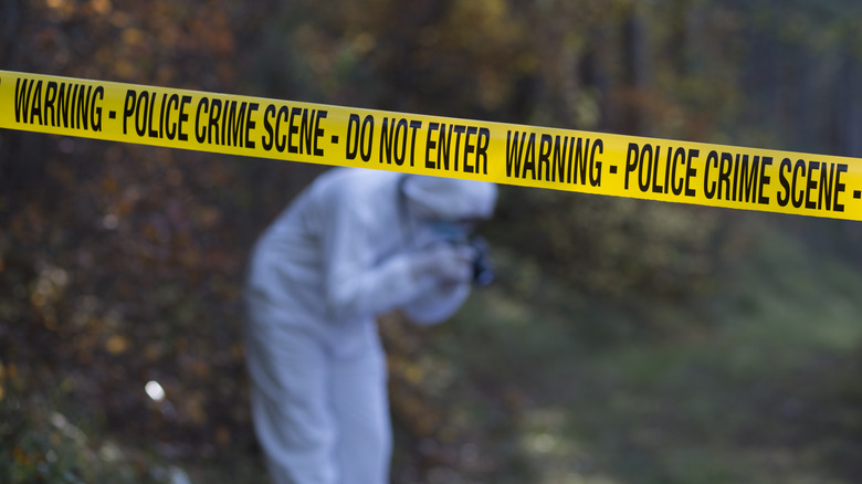 Crime scene in the woods