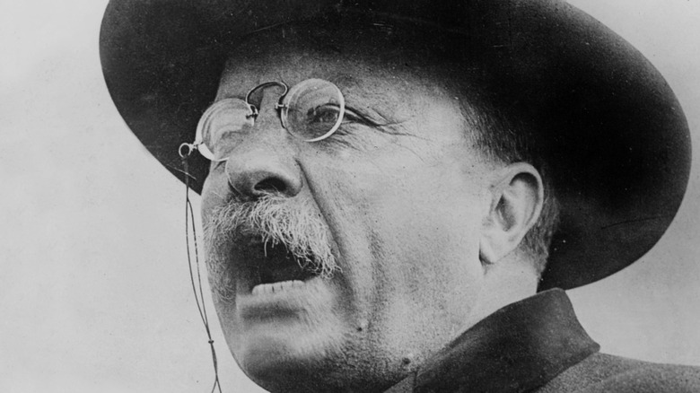 Portrait of Teddy Roosevelt