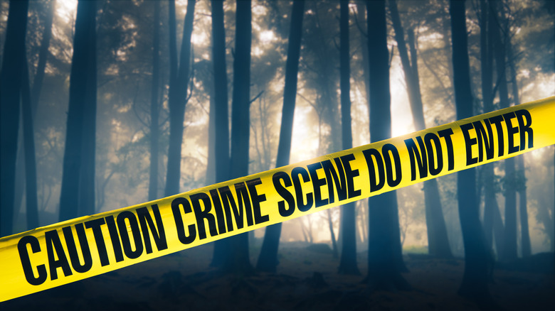 Caution tape in woods