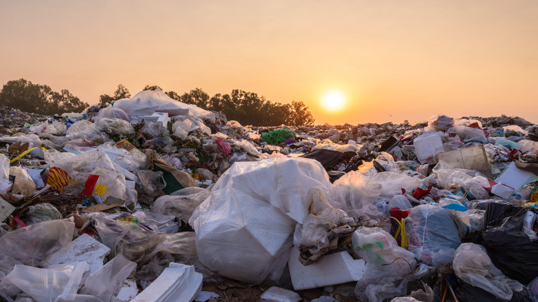 Plastic garbage in a landfill at sunset