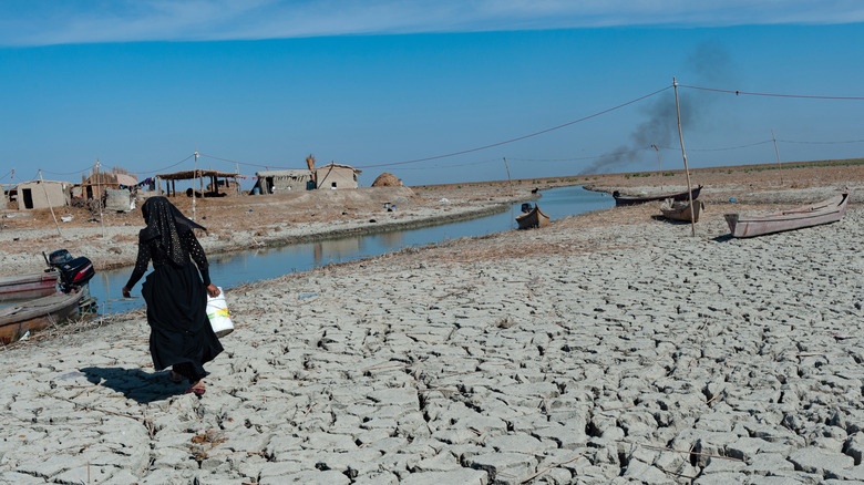 Dry, cracked ground in Iraq