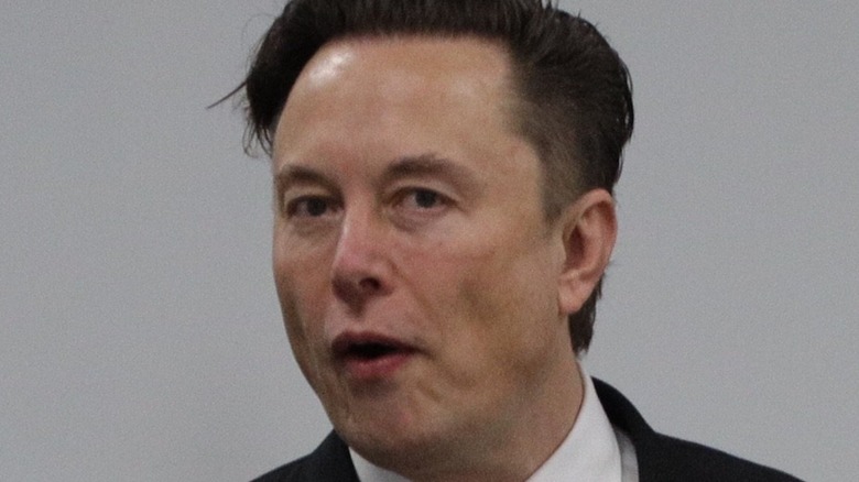 Elon Musk in 2022