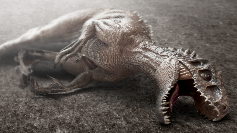 Dead dinosaur