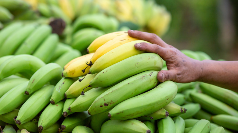 Pile of bananas