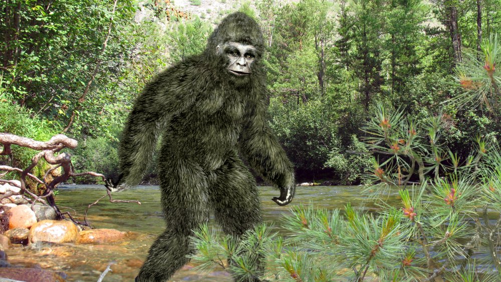 Is There Actually A Difference Between Bigfoot And Sasquatch?
