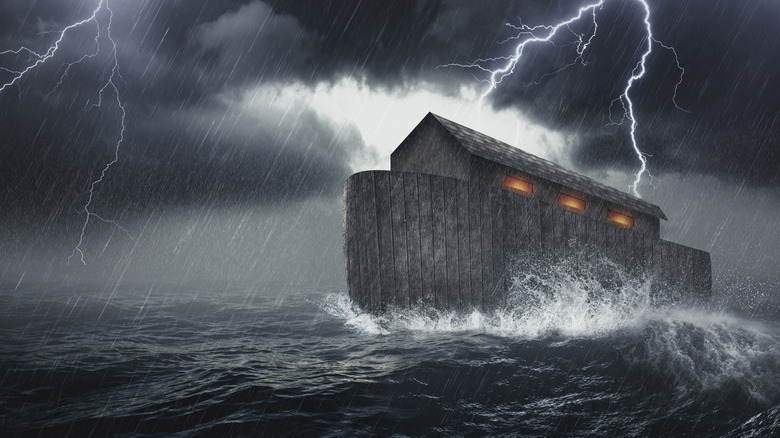 ark in a storm