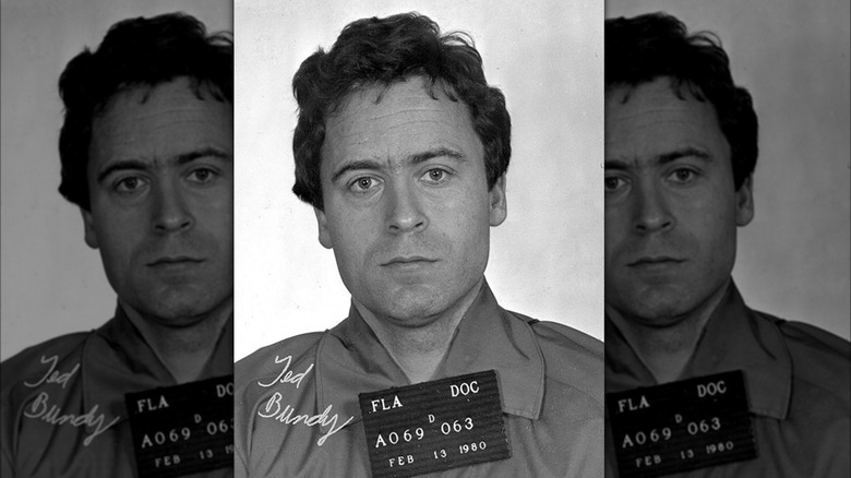 Ted Bundy's mug shot